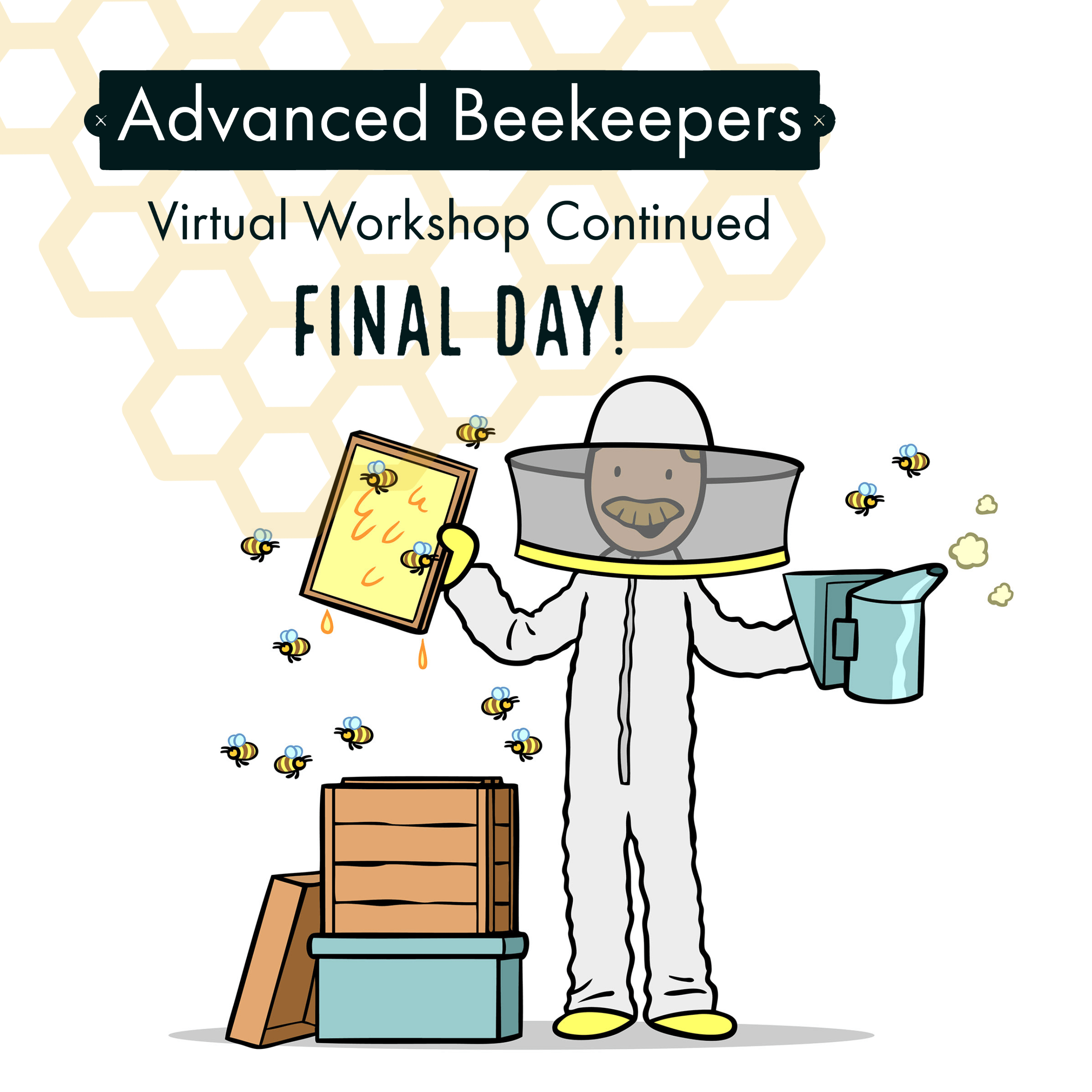 Advanced Beekeeping Workshop final day