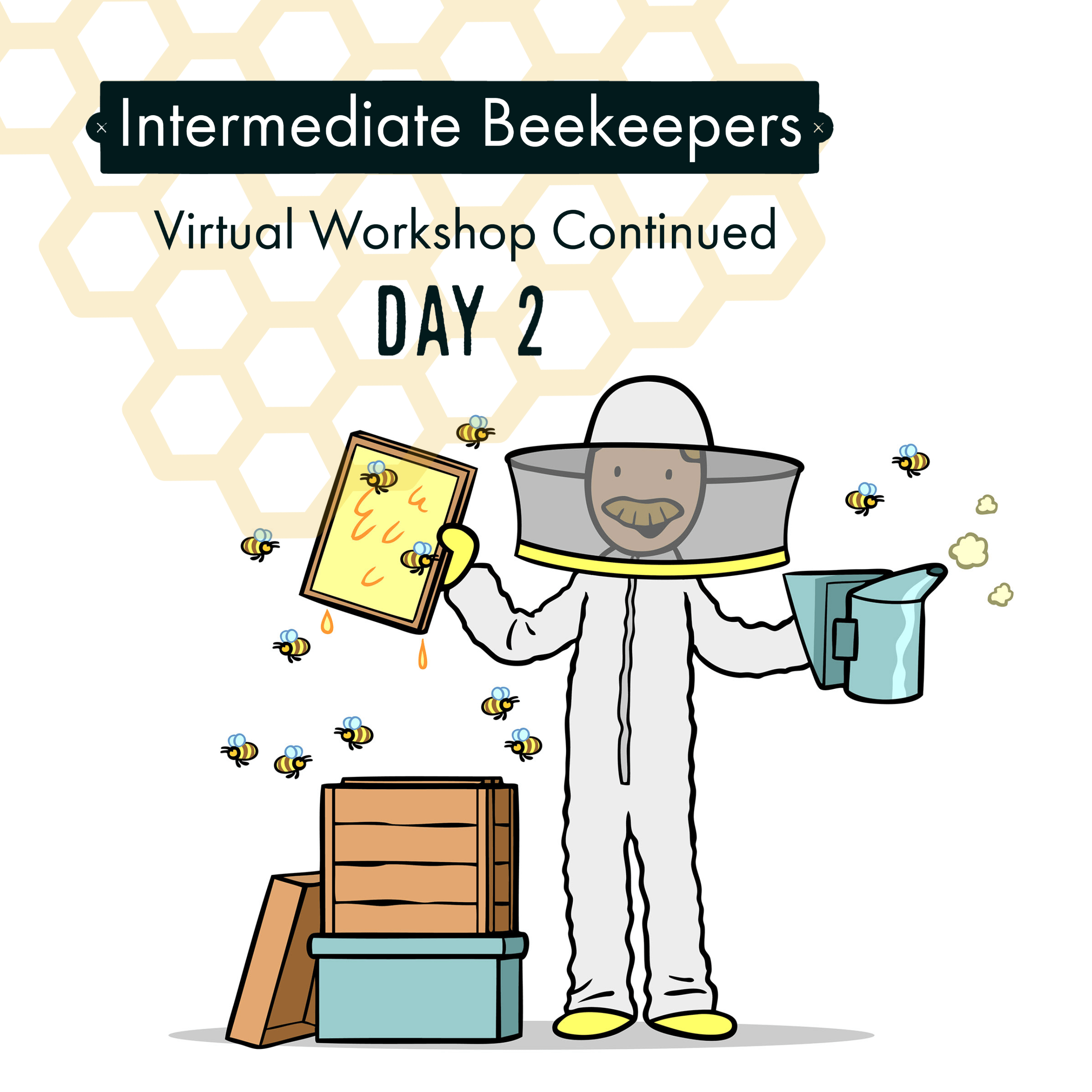 honeycomb background with beekeeper cartoon - intermediate beekeeper workshop day 2