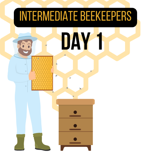 computer rendered graphic of a beekeeper with hive and words - Intermediate beekeeper - Day One