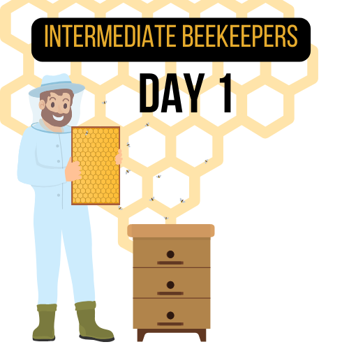 Beginner Beekeepers  Three Rivers Beekeeping Club - St. Charles MO