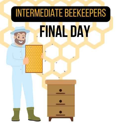 graphic drawing of a beekeeper and a hive with the words Intermediate Beekeepers final day