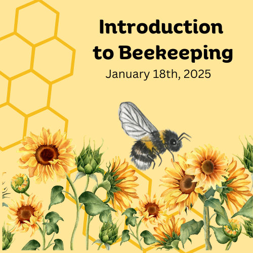 Introduction to Beekeeping Event Image