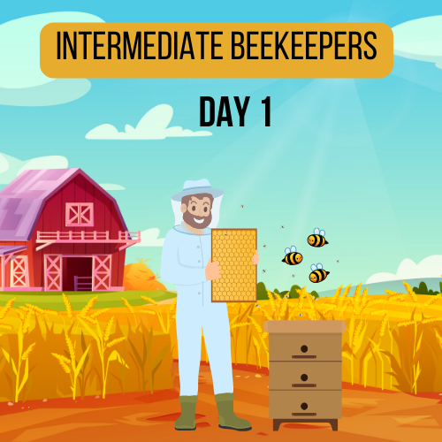 Intermediate Beekeepers Day 1 Image