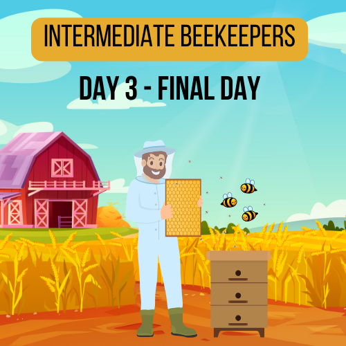 Intermediate Beekeepers Day 3 Image