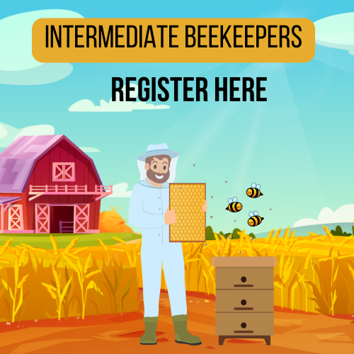 Intermediate Beekeepers Workshop Register Here Image